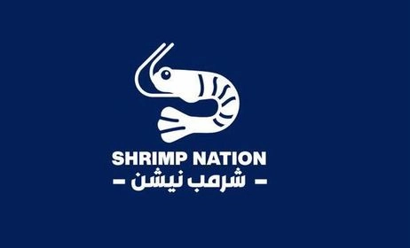 شركة 15